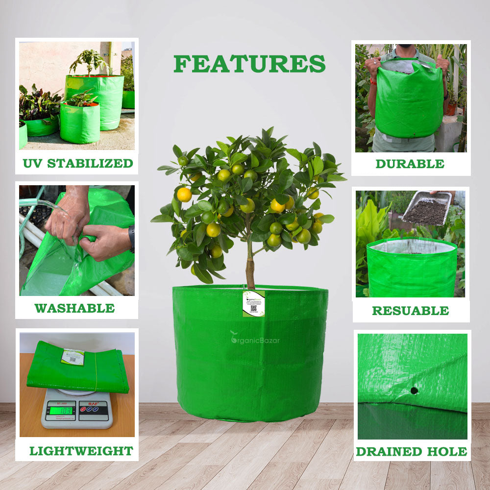 HDPE Grow Bag 24x18 inch