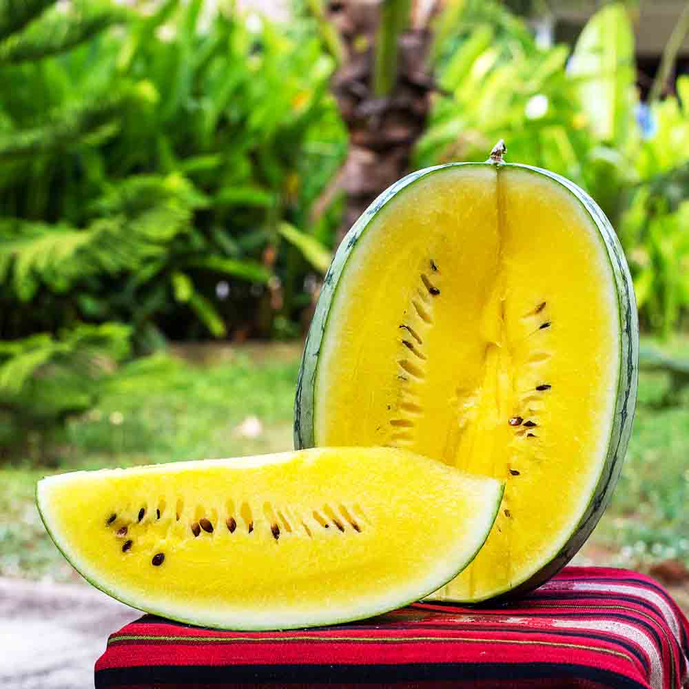 Yellow Watermelon Seeds