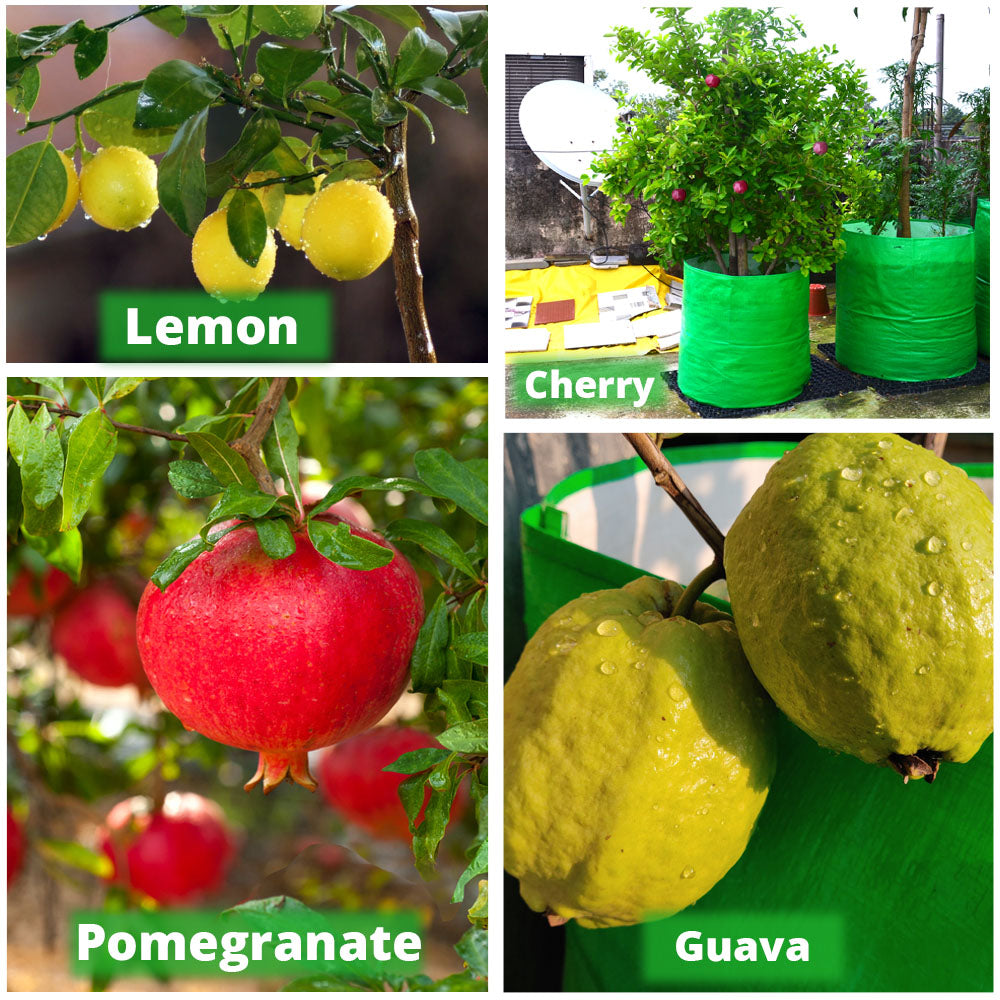 HDPE Grow Bag 18x18 inch