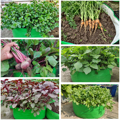 HDPE Grow Bag 18x9 inch