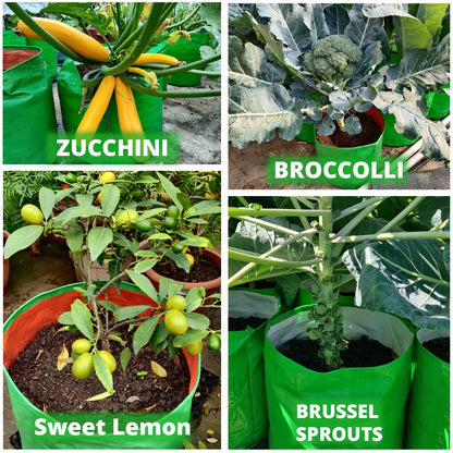 4HDPE Grow Bag 15x15 inch