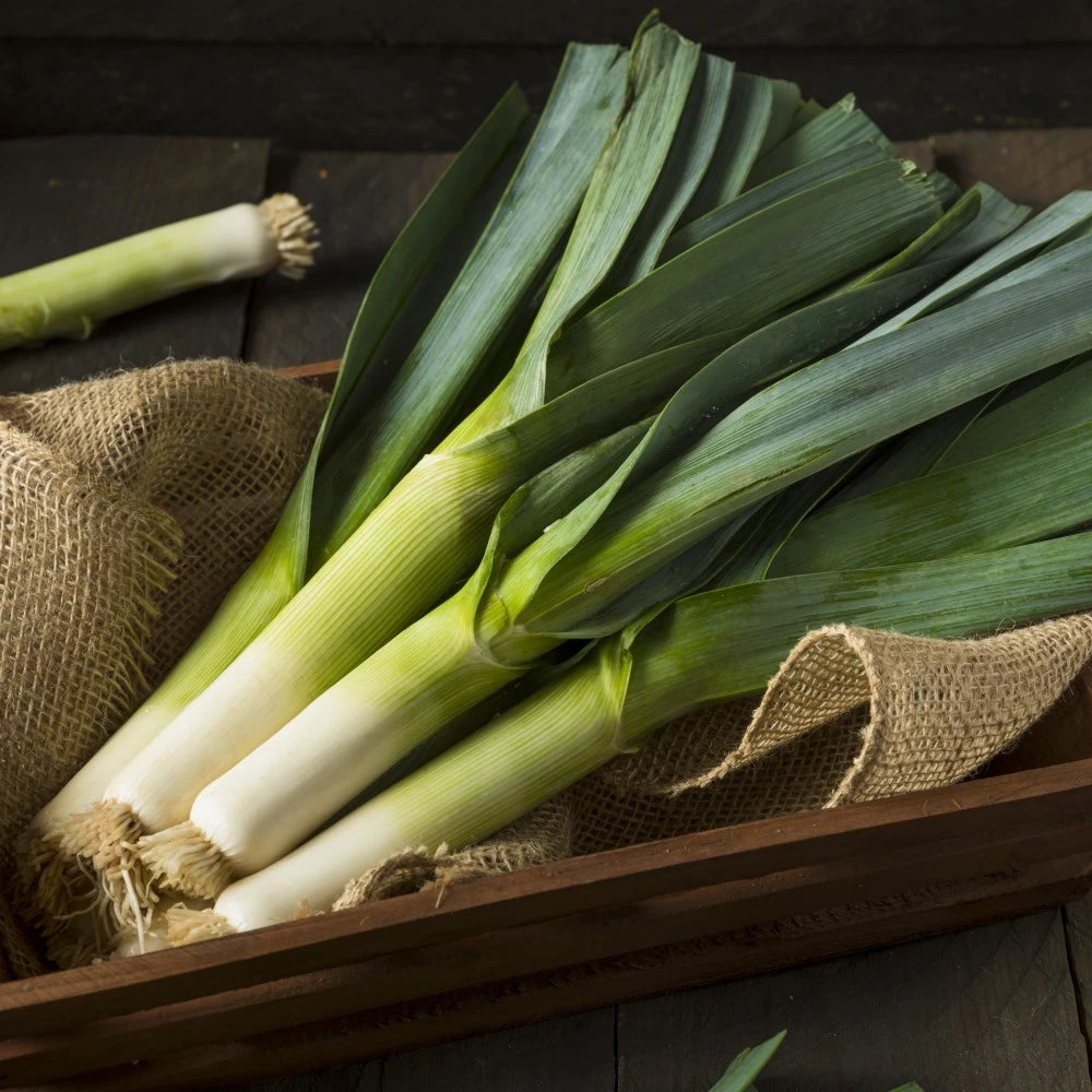 organicbazar leek seeds