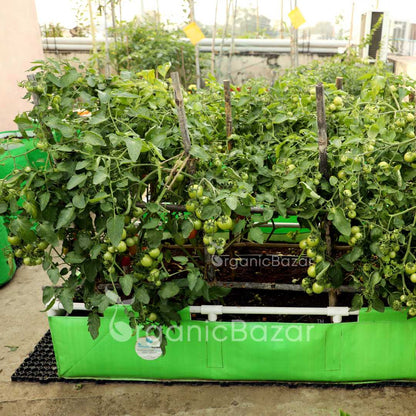 72x36x12 Rectangle Grow Bag