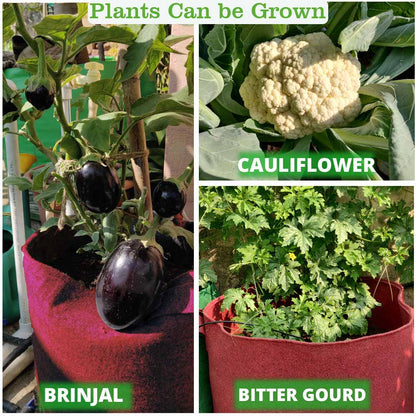 Geo Fabric Grow Bag 12x12 inch