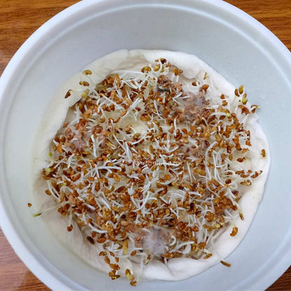 Alfalfa Microgreen Seeds