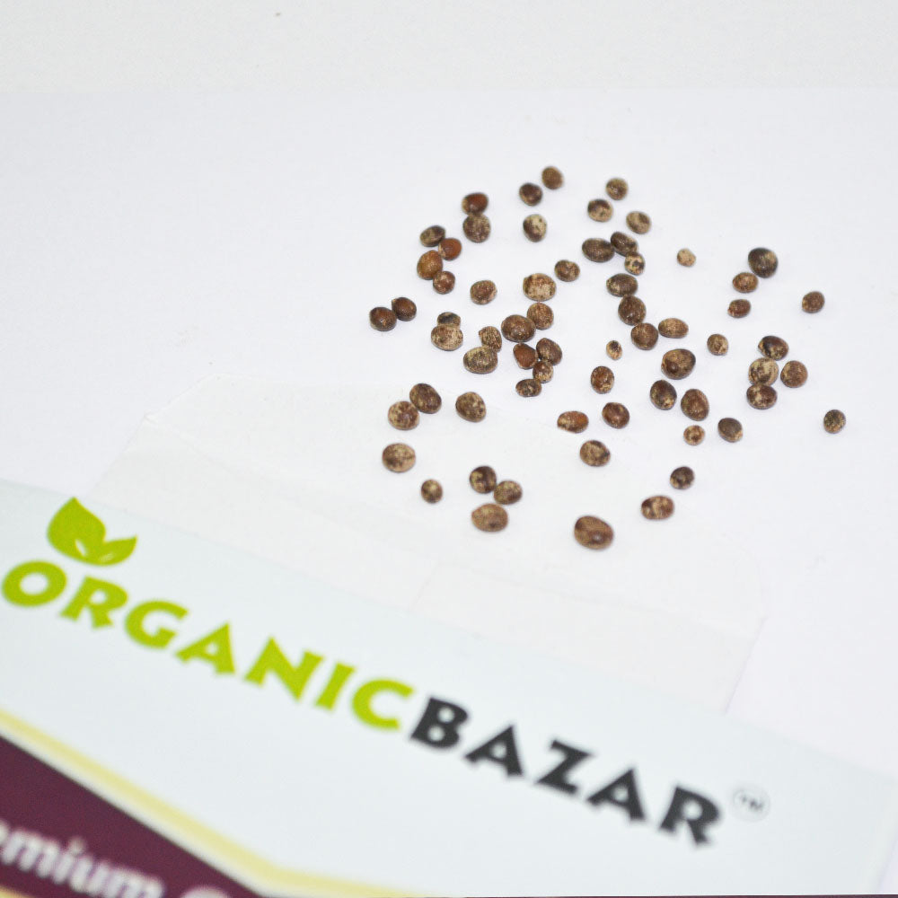 Kraft Seeds Balsam Tom Thumb Mix : .in: Garden & Outdoors
