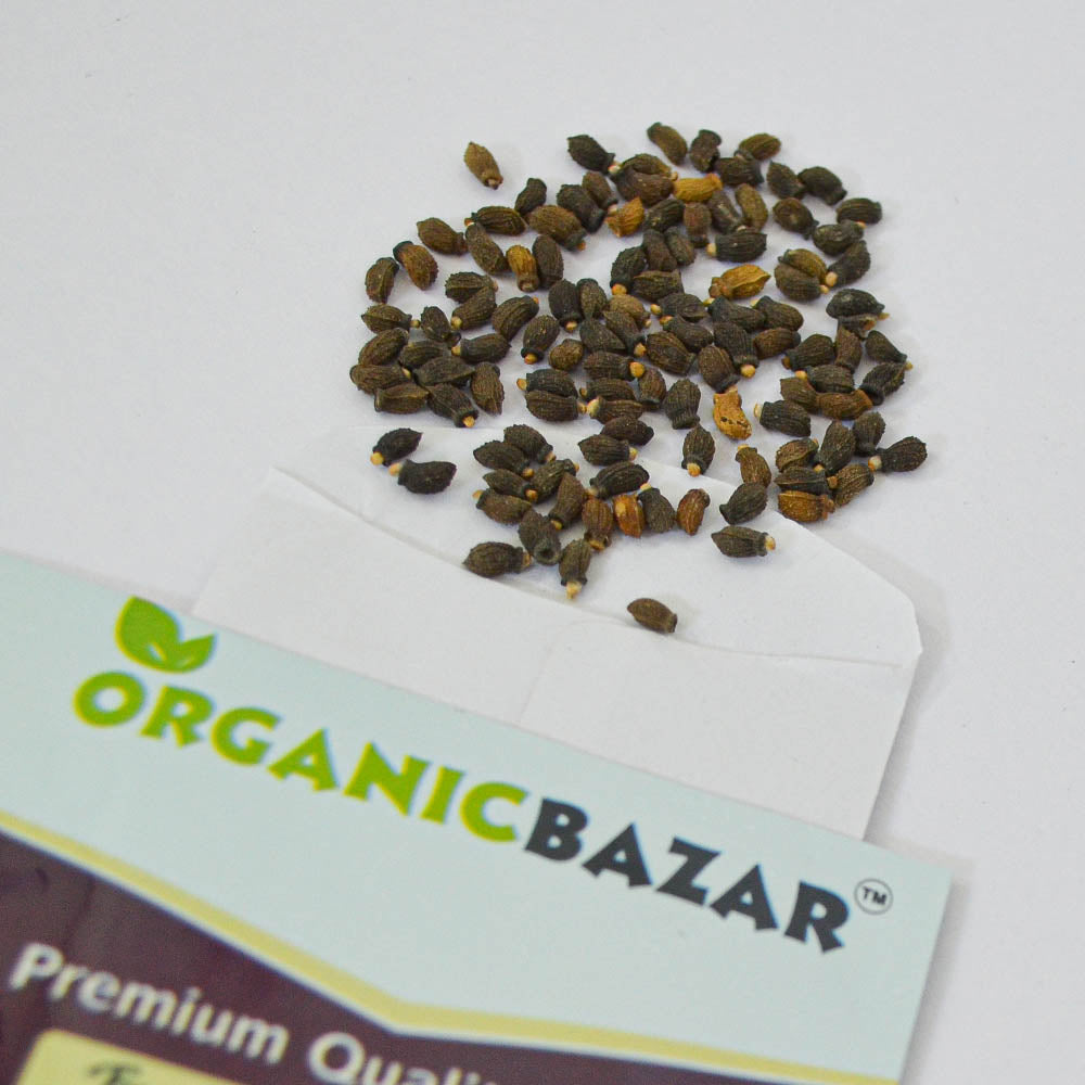 Borage Imported Seeds (3)
