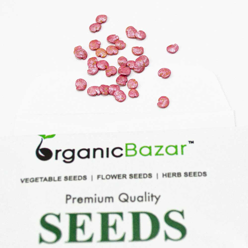 Brinjal Pink Medium Long F1 Hybrid Seeds
