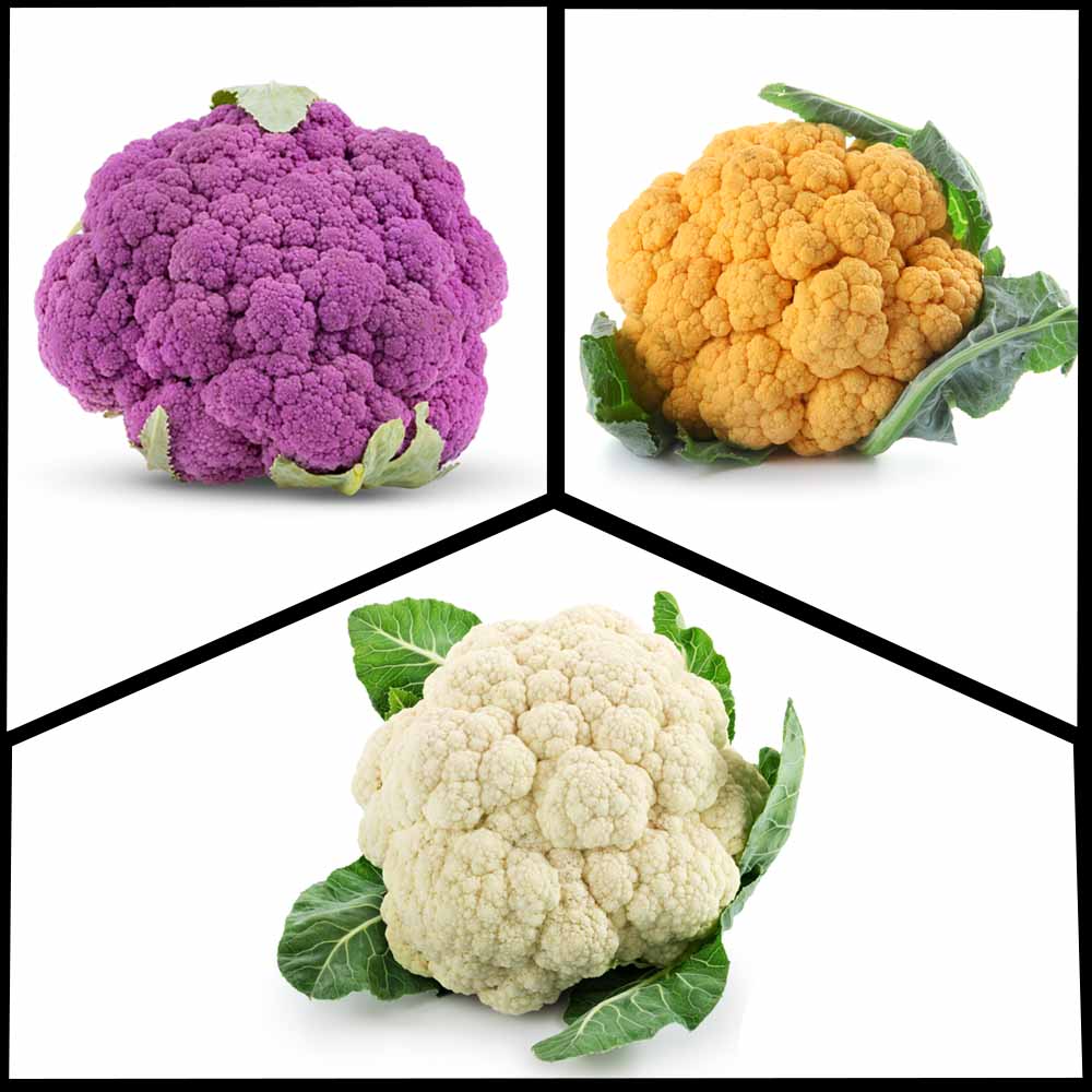 3 Different Varieties Cauliflower Hybrid Seeds Combo Pack
