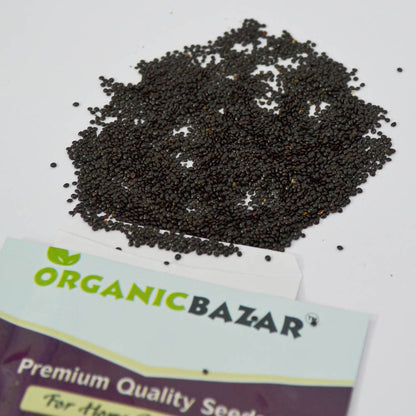 Chaulai Green Amaranth Seeds (5000+ Seeds)