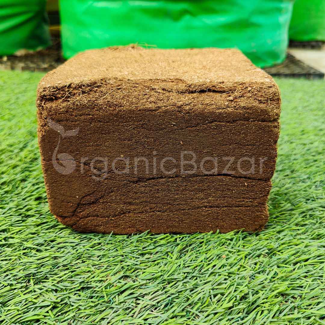 Cocopeat 1 kg Block