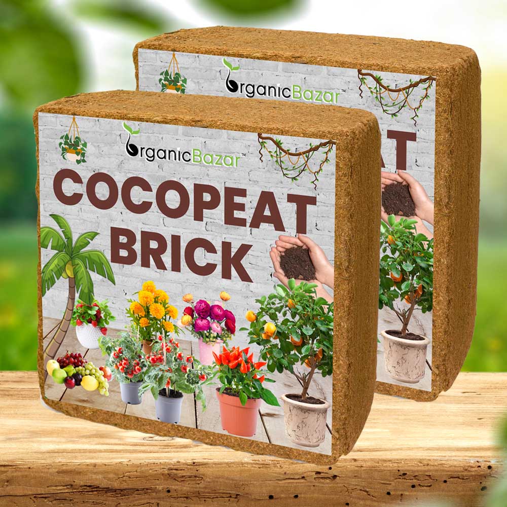 Cocopeat Brick 10 Kg Block for Gardening (2)