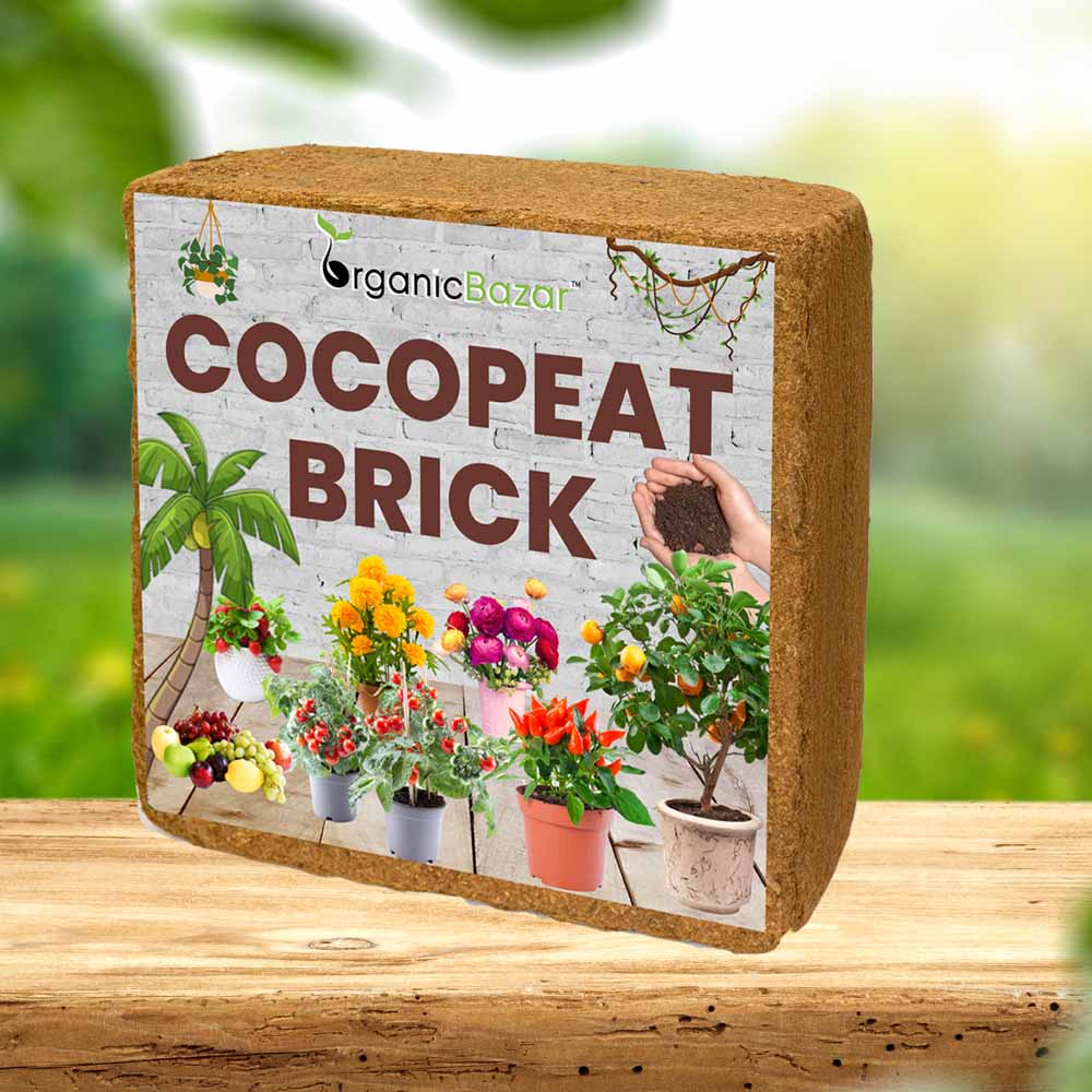 Cocopeat Brick 5 Kg Block for Gardening