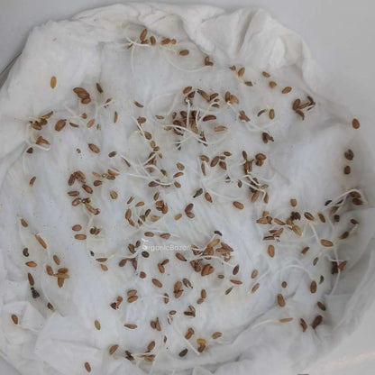 Desi Red Carrot Seeds