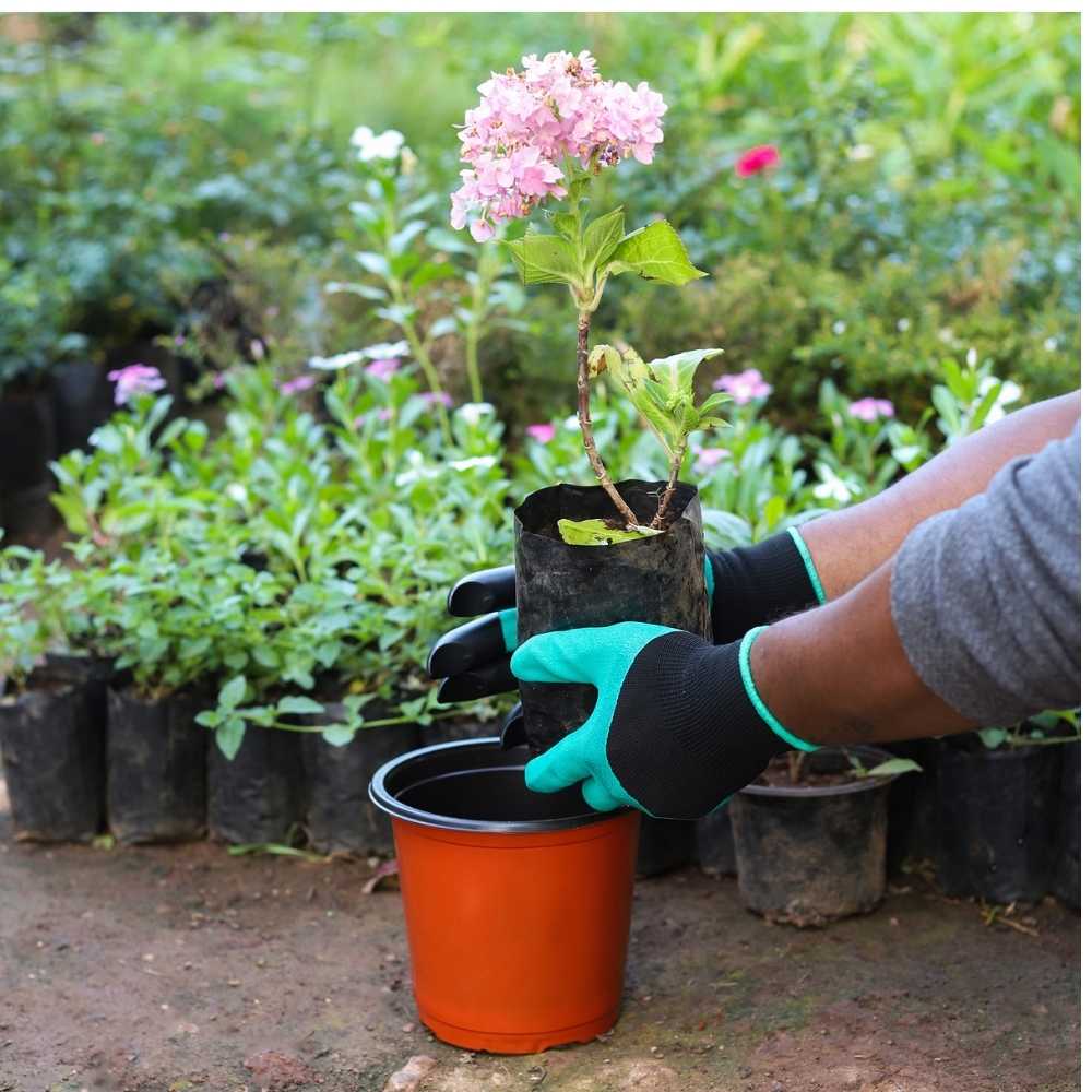 Garden Gloves with Claws for Digging &amp; Planting (4)