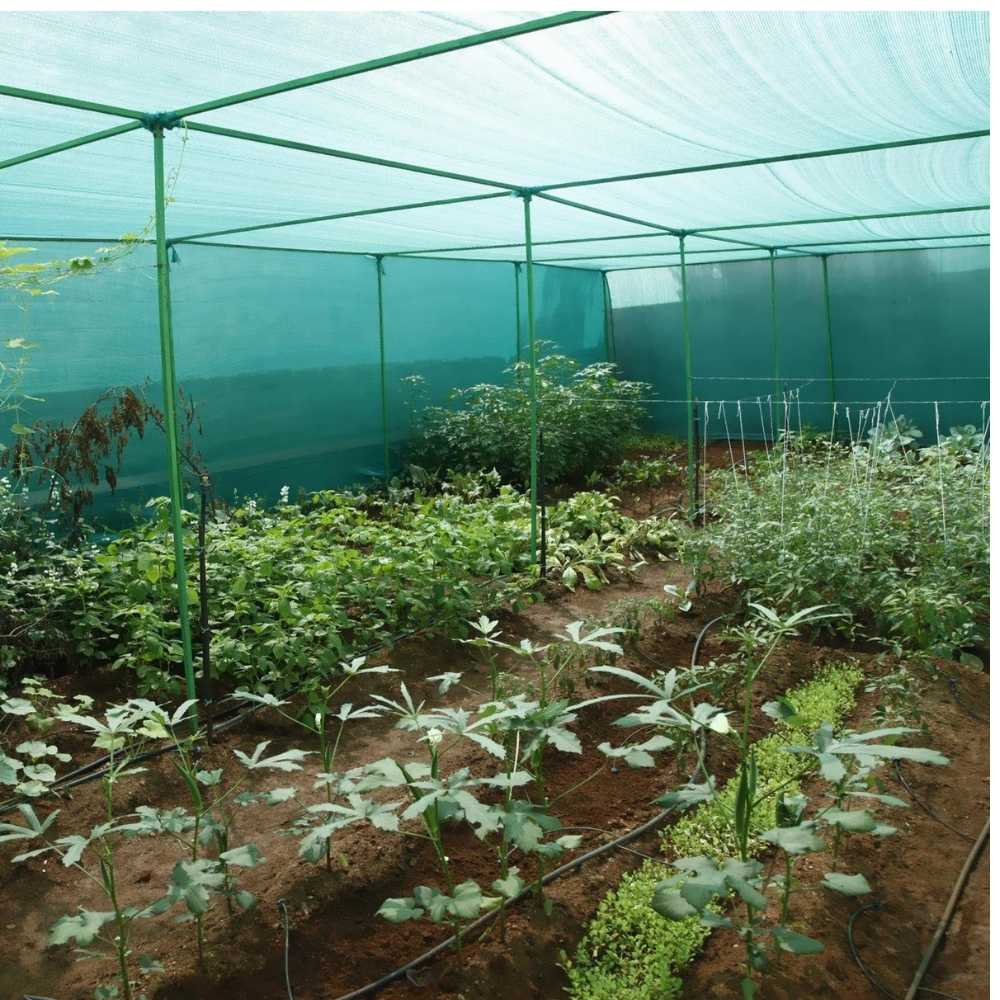 Green Shade Net 50% for Home Garden (16 Ft x 10 Feet)