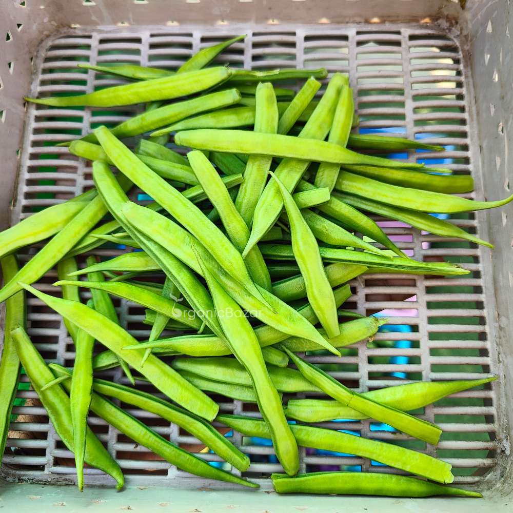 Gwar Phali (Cluster Beans) F1 Hybrid Seeds