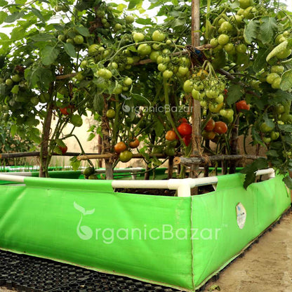 HDPE 72x36x12 Rectangle Grow Bag