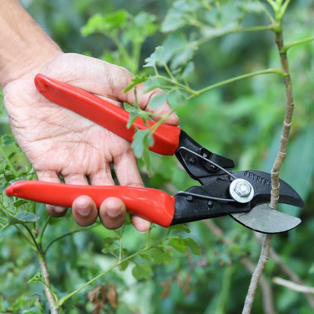 Heavy Duty Double Cut Hand Pruner (2)