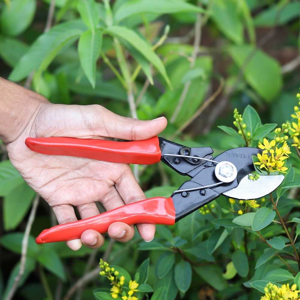 Heavy Duty Double Cut Hand Pruner (3)