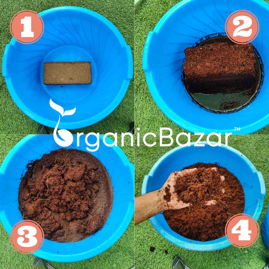 How to use Cocopeat 500 g Block