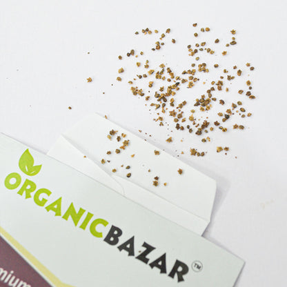 Kochia Fire Bush Seeds