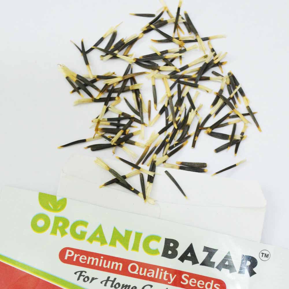 Buy Best Quality Marigold Yellow Flower Seeds Online