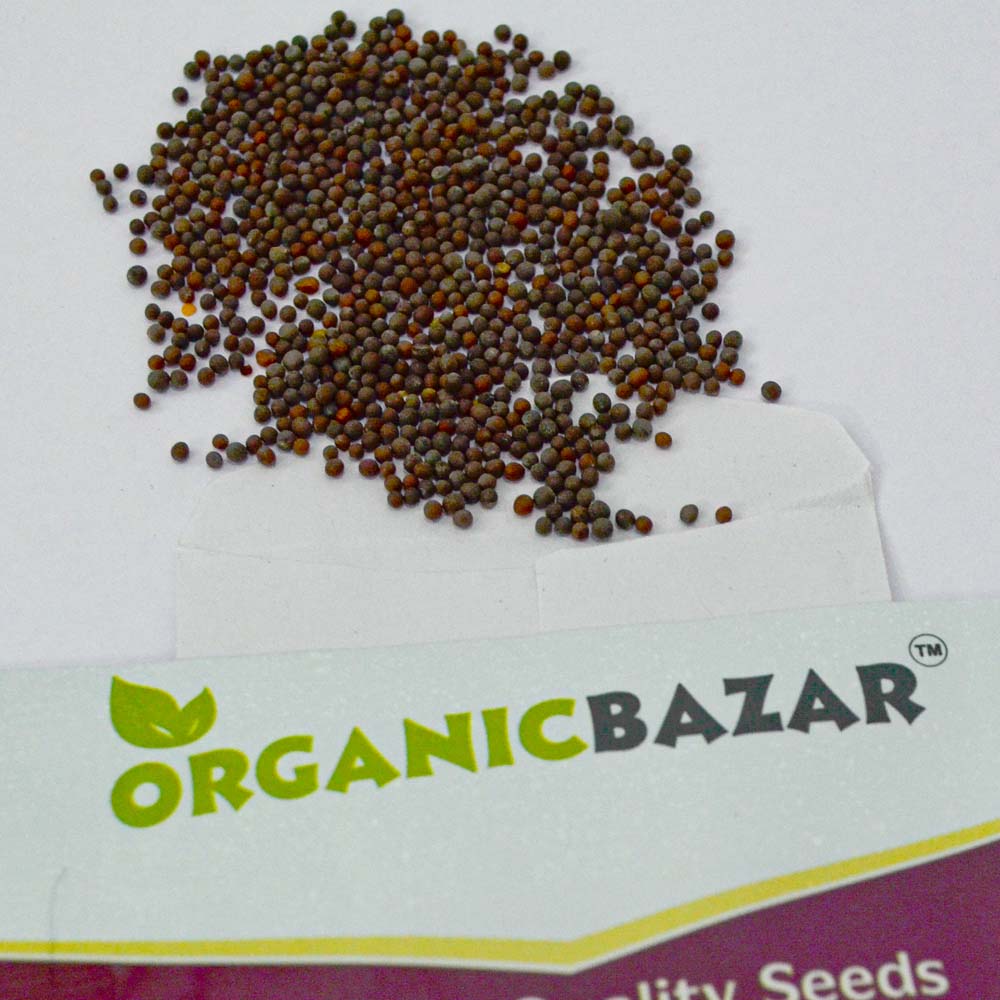 Mustard Indian Sarso Leaf Seeds
