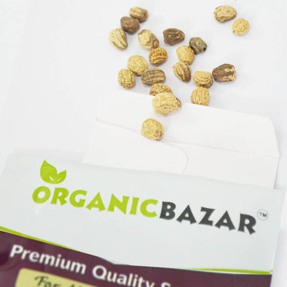 Nasturtium Variegated Mix Seeds