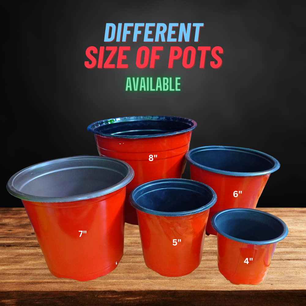 OB different sizes of thermoform pot