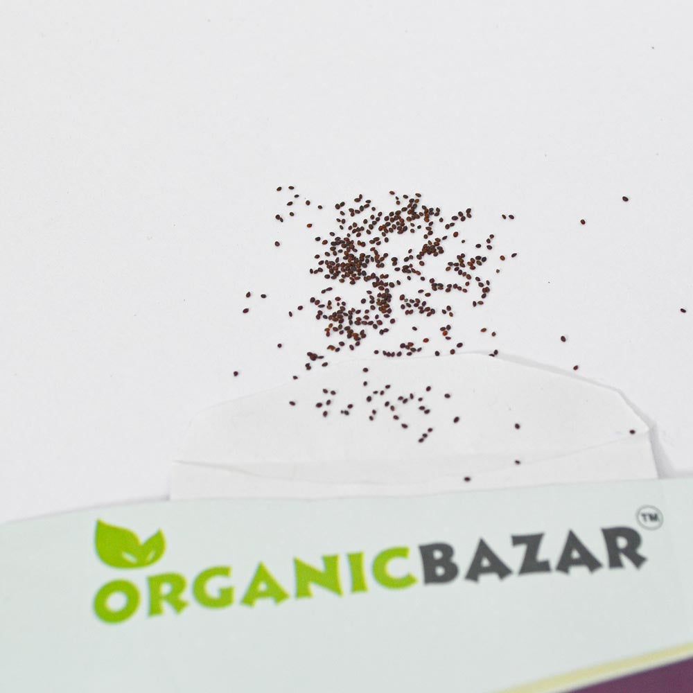 Oregano Seeds