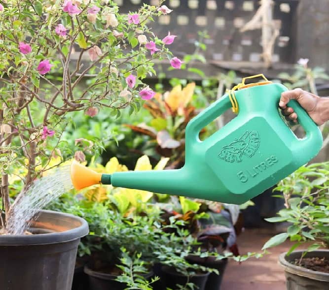 Advantages Of A Watering Can For Indoor/Outdoor Plants In Hindi