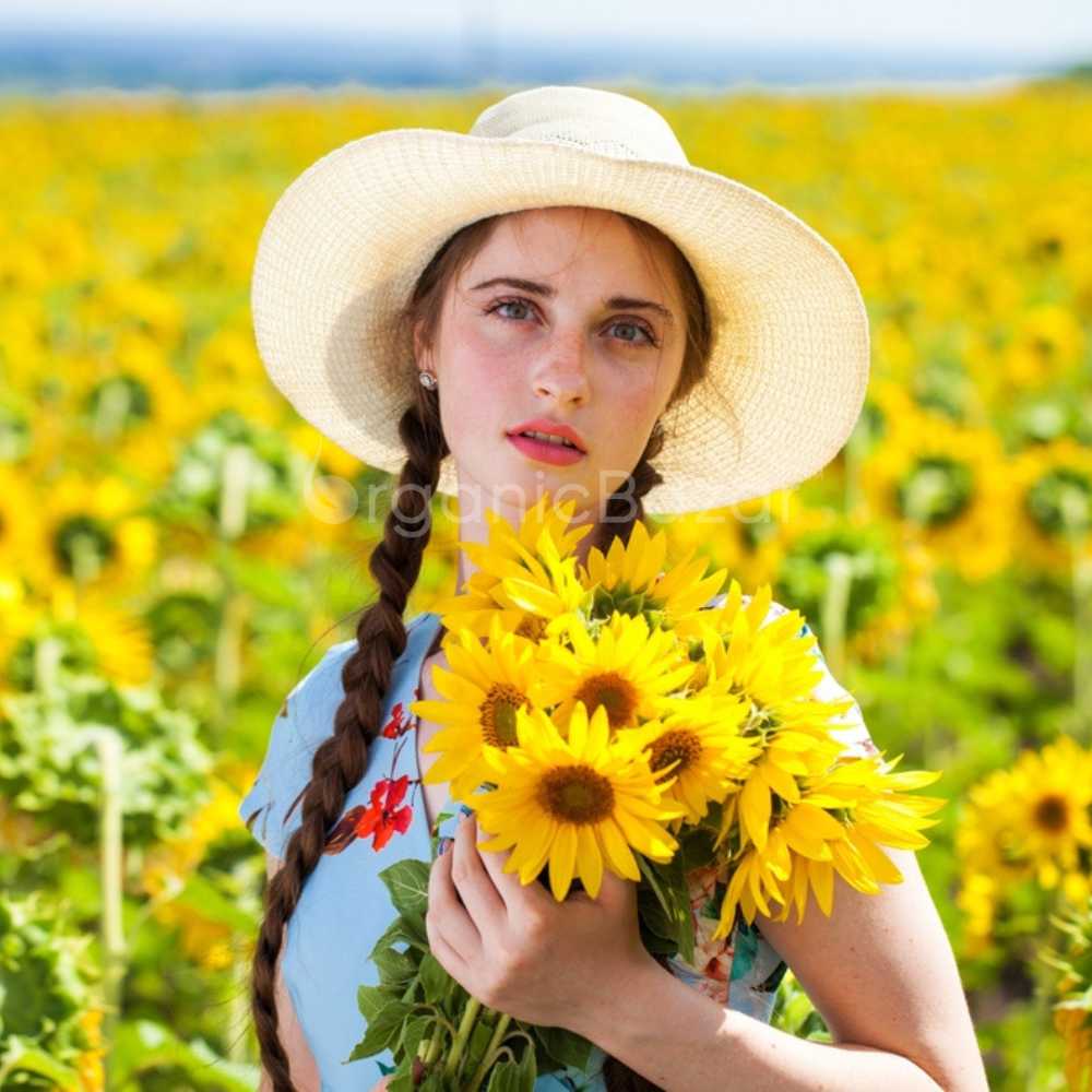 Ornamental Sunflower seeds