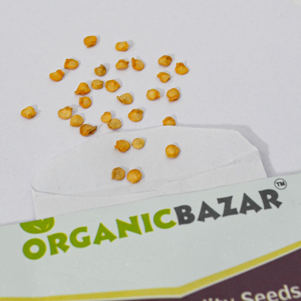 Pepper Habanero Yellow Seeds