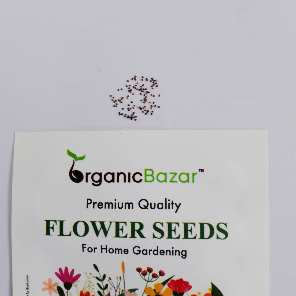 Petunia Double Glorious Mix Seeds