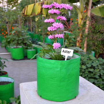 Plant tag with grow bag