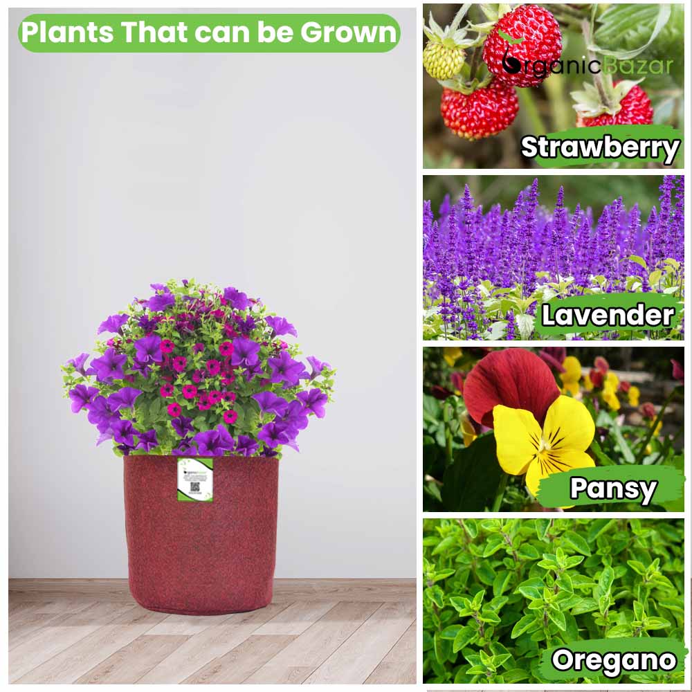 Plants that can be grown 2