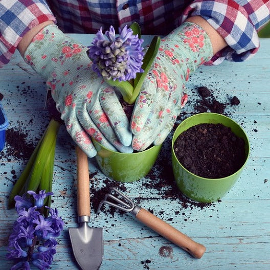 Gardeners,Hand,Planting,Flowers,In,Pot,With,Dirt,Or,Soil.