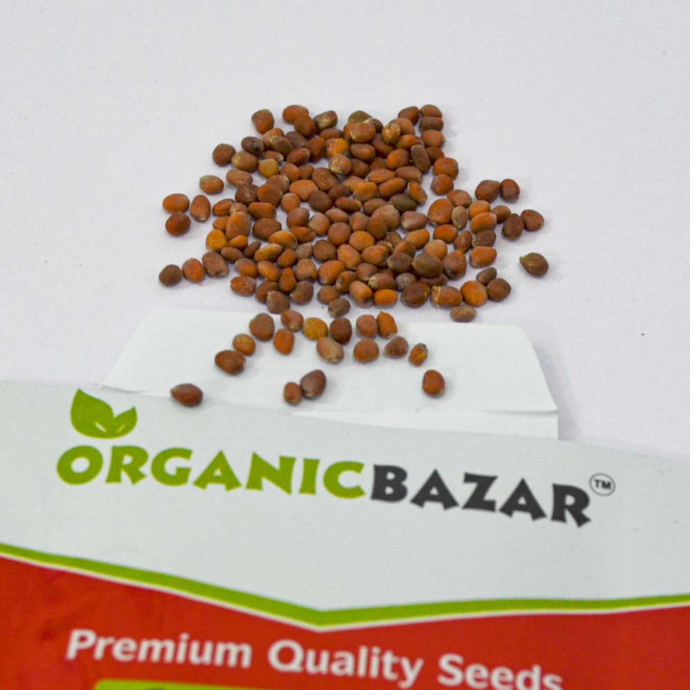 Radish Round White Seeds