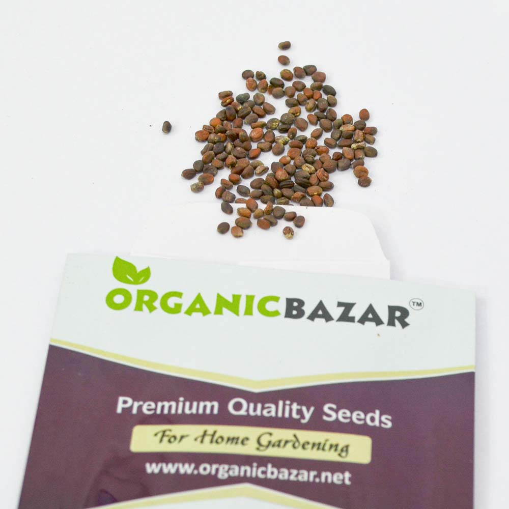 Radish Sango Sprouts Seeds