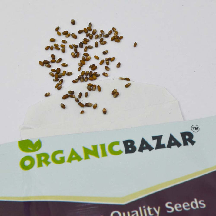 Rosemary Seeds (Gulmehndi/गुलमेंहदी के बीज)