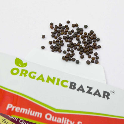 Sage Broad Leaf Seeds