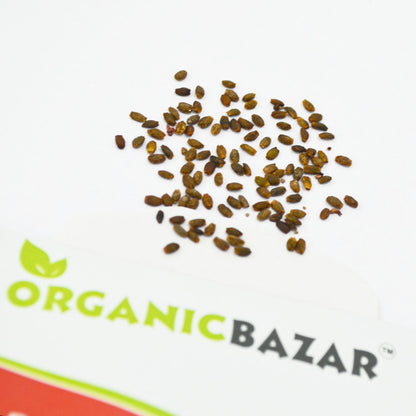 Salvia Blaze Of Fire Seeds