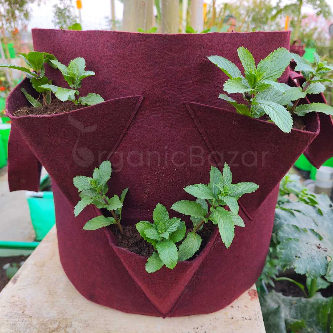 Side Pocket Grow Bags (1)