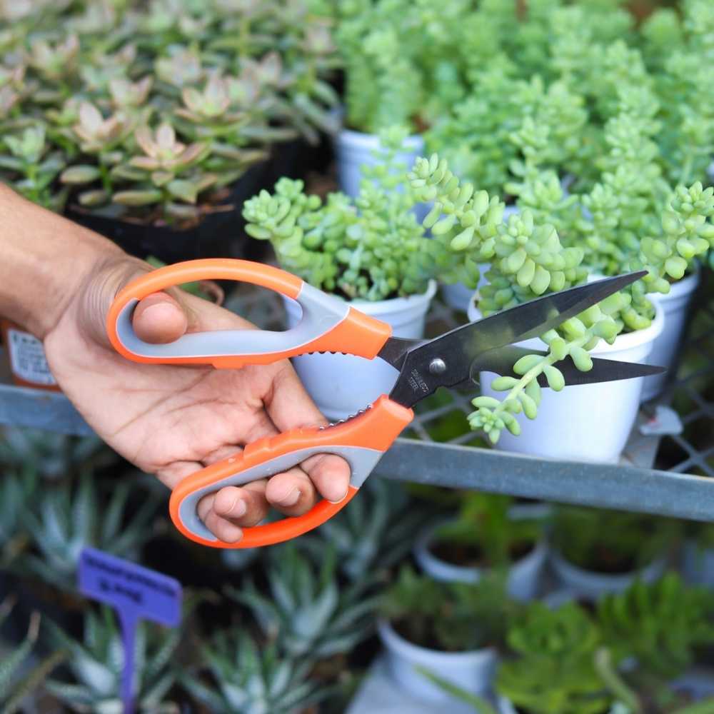 Stainless Steel Gardening Scissors with Sharp Blades (2)