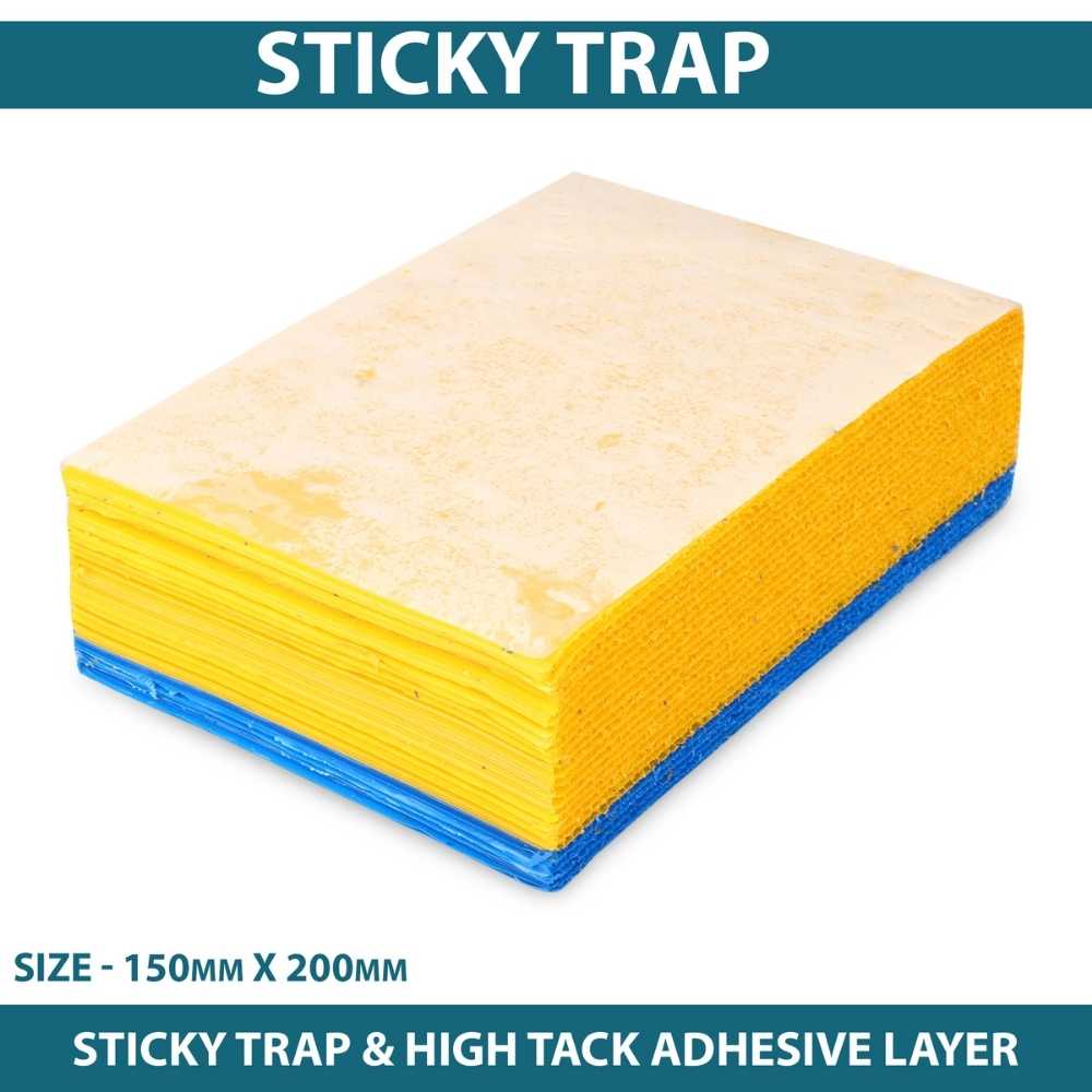 Sticky Trap for Insects