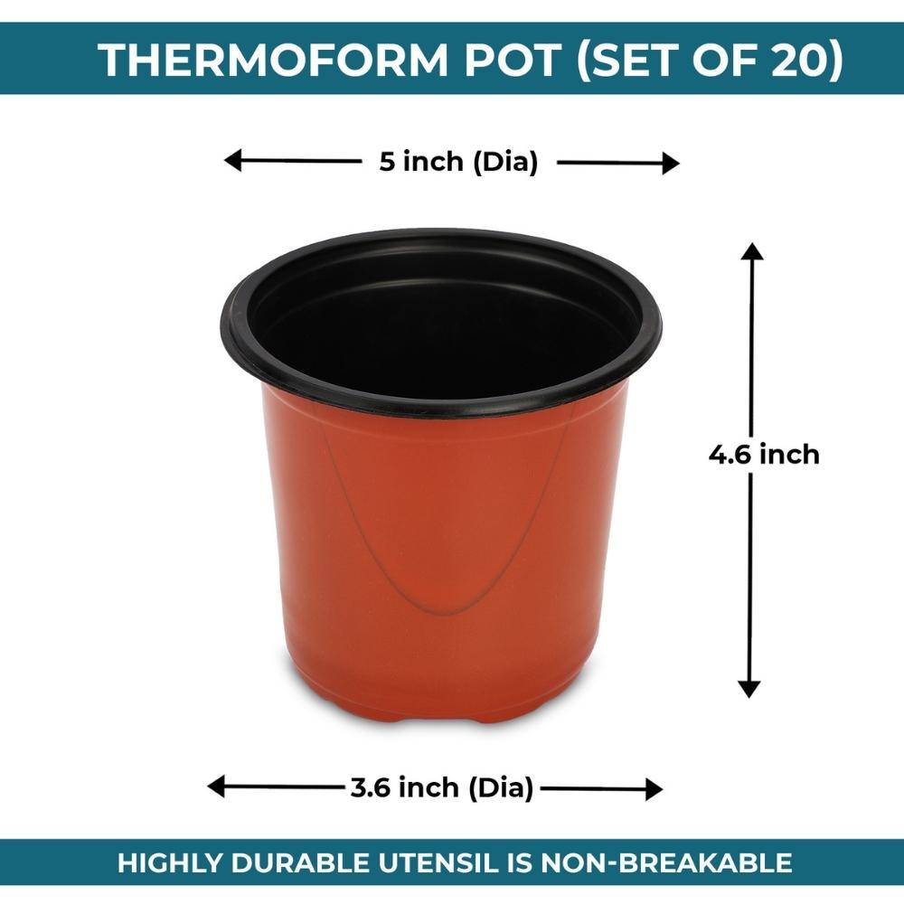 Thermoform Pot 5 Inch Terracotta Color (2)