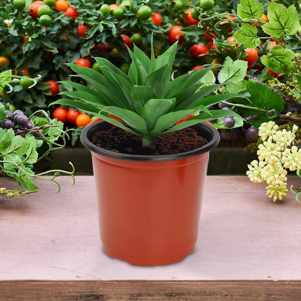 Thermoform Pot 7 Inch Terracotta Color (4)