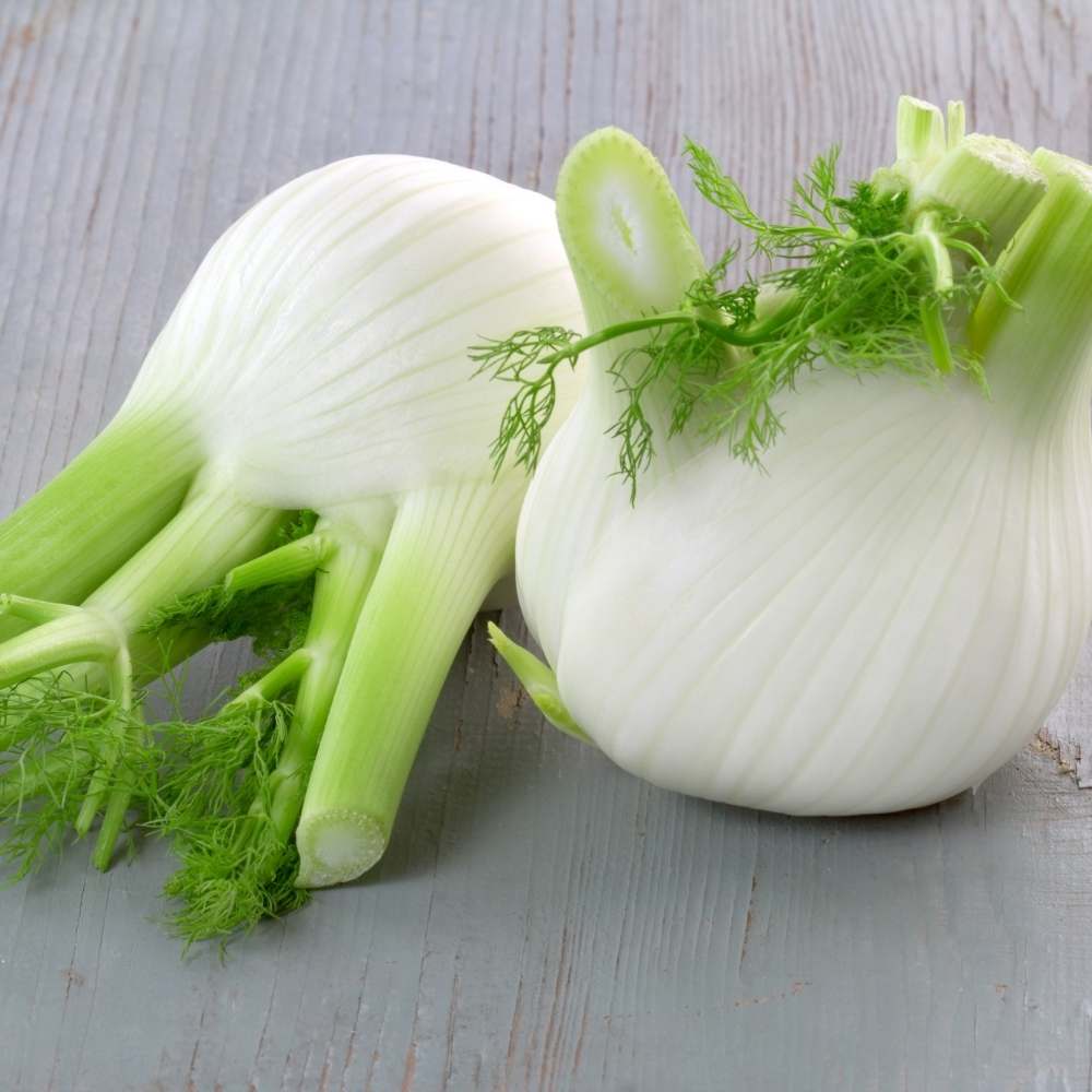 Fennel Florence Seeds