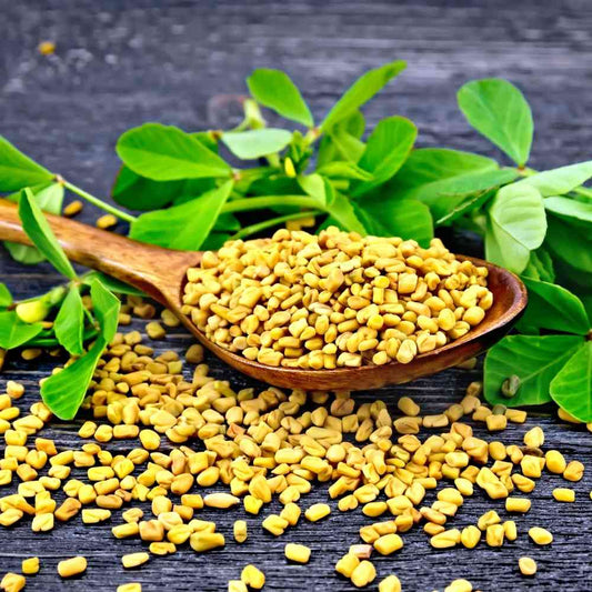 Fenugreek Seeds (Methi)